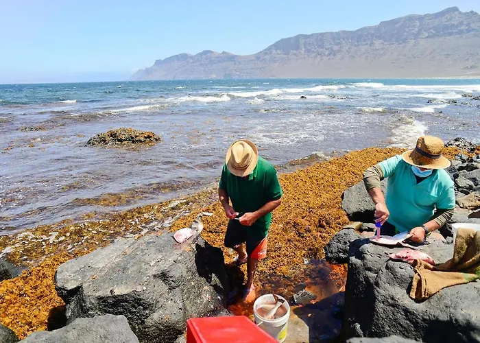 Luxury Buenavista 아파트 파마라